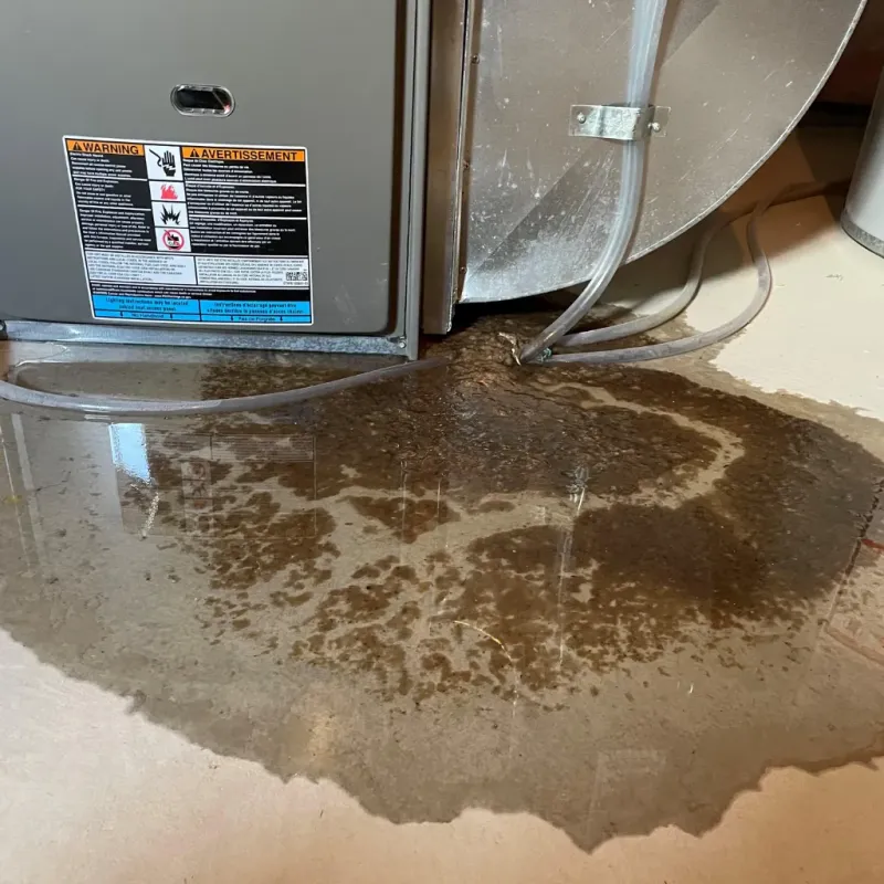 Appliance Leak Cleanup in Trinity, NC