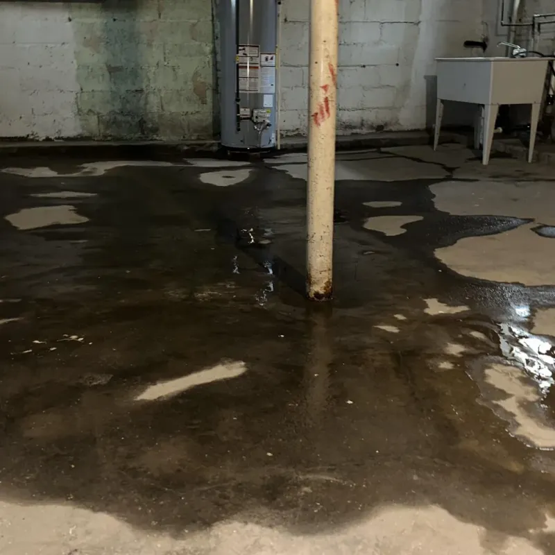 Emergency Water Extraction And Removal in Trinity, NC